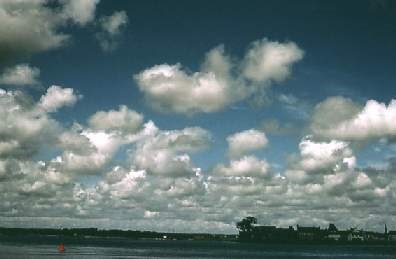 altocumulus